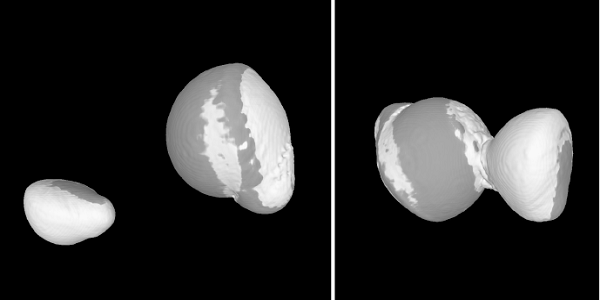 How comets were assembled