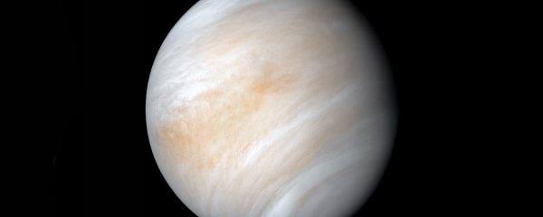 Leben auf der Venus?